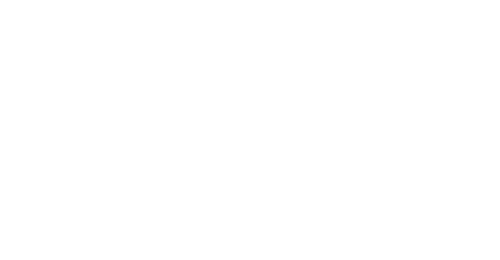 TT puuvenepalvelu logo